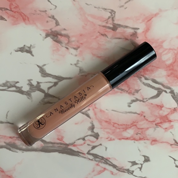 NEW Anastasia Beverly Hills Undressed Lip Gloss